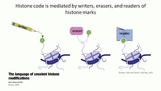 Deciphering Cancer The Intersection of Epigenetics Metabolism and Tumorigenesis [upl. by Yauqaj]