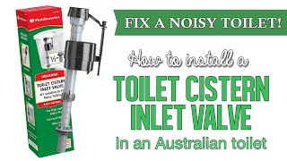 How to fix a noisy toilet that won’t stop filling Cistern inlet valve replacement Australian toilet [upl. by Runkel]