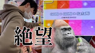 ゴリゴリサファリにボコボコにされました。【太鼓の達人ニジイロ段位道場2023玄人】 [upl. by Haraj839]