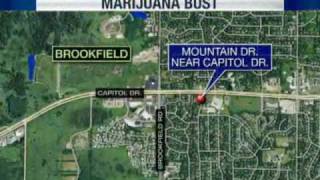 300 Marijuana Plants Found In Brookfield Home [upl. by Marra]