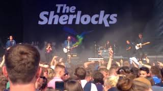 The Sherlocks Tramlines 2018 Last night [upl. by Nosduj]