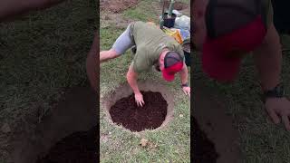 Planting our orchard pt2 orchard farm farmlife texas fruittrees trees fitfarmer [upl. by Honorine554]