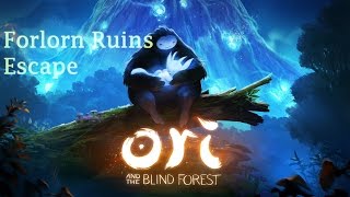 Ori and the Blind Forest Walkthrough  Forlorn Ruins Escape 12 [upl. by Icram]