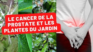 Jardin Créole et Santé Masculine  Les Plantes qui Combattent le Cancer de la Prostate [upl. by Boiney]