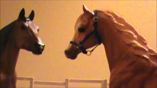 Love at First Sight  Part 2 Breyer horse movie [upl. by Amliw]