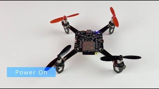 LiteWing  A Fun DIY WiFi Mini Drone based on ESP32 [upl. by Aubrie]