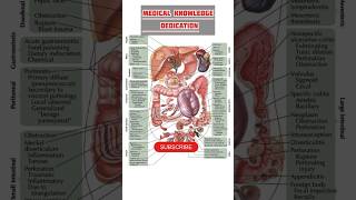 Abdomen pain region animation  Stomach pain  Colicky pain [upl. by Suolevram]