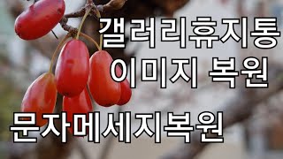 삭제한 파일되살리기 갤러리 와 문자 휴지통 복원 파일복원 이미지복구 문자복구 [upl. by Asiek]