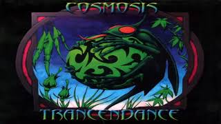 Cosmosis  Trancendance 2005 Full Album [upl. by Anaujit777]