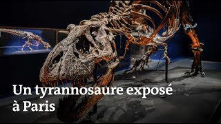 Voici à quoi ressemble le squelette de tyrannosaure exposé au Jardin des plantes de Paris [upl. by Oloapnaig816]