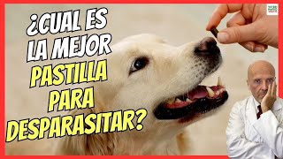 💝 ¿CUAL ES LA MEJOR PASTILLA PARA DESPARASITAR PERROS POR DENTRO 💝 [upl. by Aizirtap736]