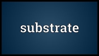 Substrate Meaning [upl. by Chil]