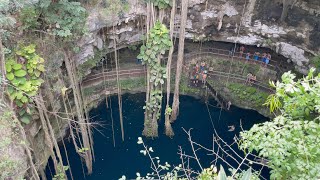 Oxman Cenote 2023 [upl. by Maudie830]