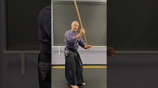 Aikido Jo tutorial Yokomen [upl. by Sirehc347]