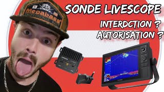 PÊCHE AU LIVE bientôt interdite  pas dinquiétude zéro problème avec les sonde live 😁 [upl. by Yngad]