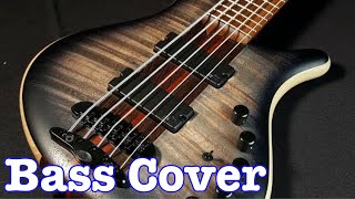 Downhearted bass cover  Australian Crawl [upl. by Kennedy121]