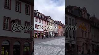 Visit germany this year Village of mainz heidelberg [upl. by Lerraf]