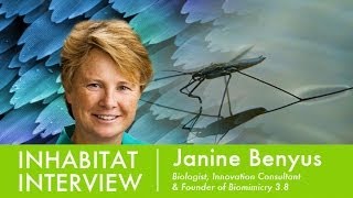 Inhabitat Interview with Janine Benyus Founder of Biomimicry Institute [upl. by Ivanna]