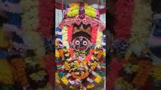 Darshan dia he Mora Kala saanta jagannath bhaktisong basudeb krishna ram [upl. by Madox]