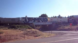 Union Pacific Freight Train at Blairsden California [upl. by Ayisan]