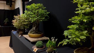 Danish Bonsai Exhibition [upl. by Milford920]