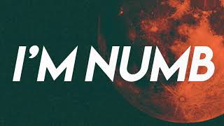 Delphina Kings  Im Numb Official Lyric Video [upl. by Hainahpez]