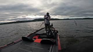 2024  2025 ABA Div 75 season opener on Lake Mitchell out of Higgins Ferry lamarcolemanfishing [upl. by Jari646]