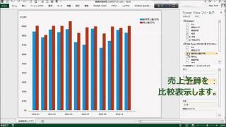 EXCEL Power View を使った SAP BW 売上分析 [upl. by Meggy]