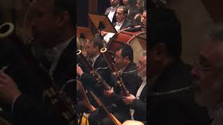 BEETHOVEN 9th BASSOON SOLOS AT 2nd Mov  Alexandre Silvério bassoon [upl. by Llerehc617]