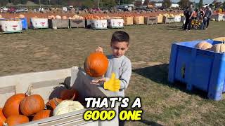 Liam at the pumpkin patch 2024 [upl. by Kalli]