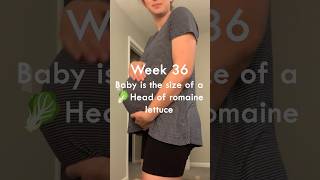 36 weeks pregnant baby development [upl. by Eaneg]