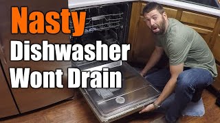 Easy Fix For Dishwasher That Wont Drain  THE HANDYMAN [upl. by Nnyletak34]