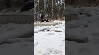 Front flip in winter ❄️☃️☃️  parkourfreerunning pkfr frontflip [upl. by Iznek386]