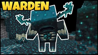 How Does The WARDEN Spawn In MINECRAFT [upl. by Grimbald657]