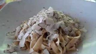 Wilson  A Creamy Truffle Pasta [upl. by Adebayo]