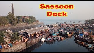 Sassoon Dock Art Project  Colaba  Art For All [upl. by Fedak]