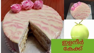 Tender coconut cake perfect 1kg elaneer cake recipeno ovenin malayalam [upl. by Aehsel]