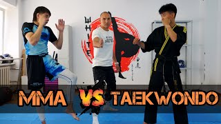 MMA VS TAEKWONDO [upl. by Aynom]