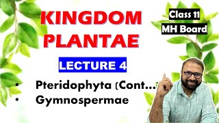 Gymnospermae Kingdom Plantae Lecture 4  Class 11 Biology  Maharashtra State Board [upl. by Anelhtak]