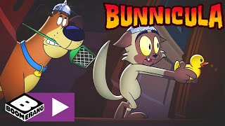 Bunnicula  Bunnicula ist ein Roboter  Cartoonito [upl. by Abraham]