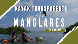 SAN ANDRES COLOMBIA  KAYAK TRANSPARENTE ECO FIWI POR EL MANGLAR OLD POINT [upl. by Mazlack]