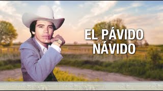 El Pávido Návido  Chalino Sanchez Letra Oficial [upl. by Armitage973]