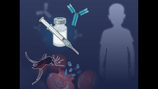 Monoclonal Antibody to Prevent Malaria  NEJM [upl. by Biles193]