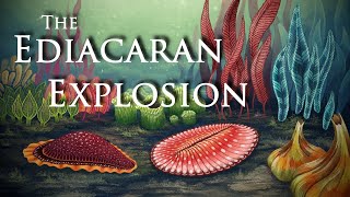 The Ediacaran Explosion ft CambrianScience [upl. by Ullund]