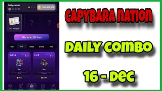 Capybara Nation Daily Combo 16 amp 17 December  Today Capybara Nation Daily ComboCapybara NationAGP [upl. by Ayatnwahs]