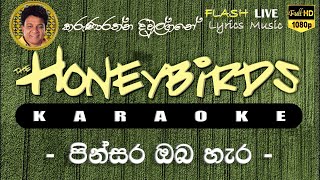 Pinsara Oba Hara Karaoke Without Voice පින්සර ඔබ හැර කැරෝකේ [upl. by Nipsirc19]