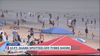 Tybee Island lifeguard talks safety rarity amid 10 ft shark sighting [upl. by Jangro]