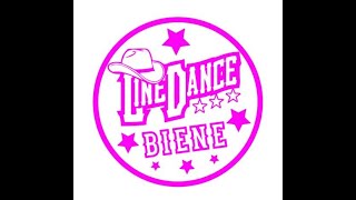 Sidewinder Swing Paartanz Partner Dance Line Dance Lernvideo Teach amp Dance Line Dance Biene Teil 2 [upl. by Aiksa]