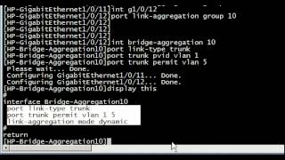 Common command on HP and Cisco Switches [upl. by Naut]