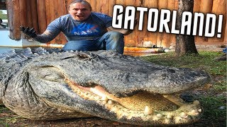 THIS ALLIGATOR ATE DOGS HUGE GATOR  BRIAN BARCZYK [upl. by Anaid925]